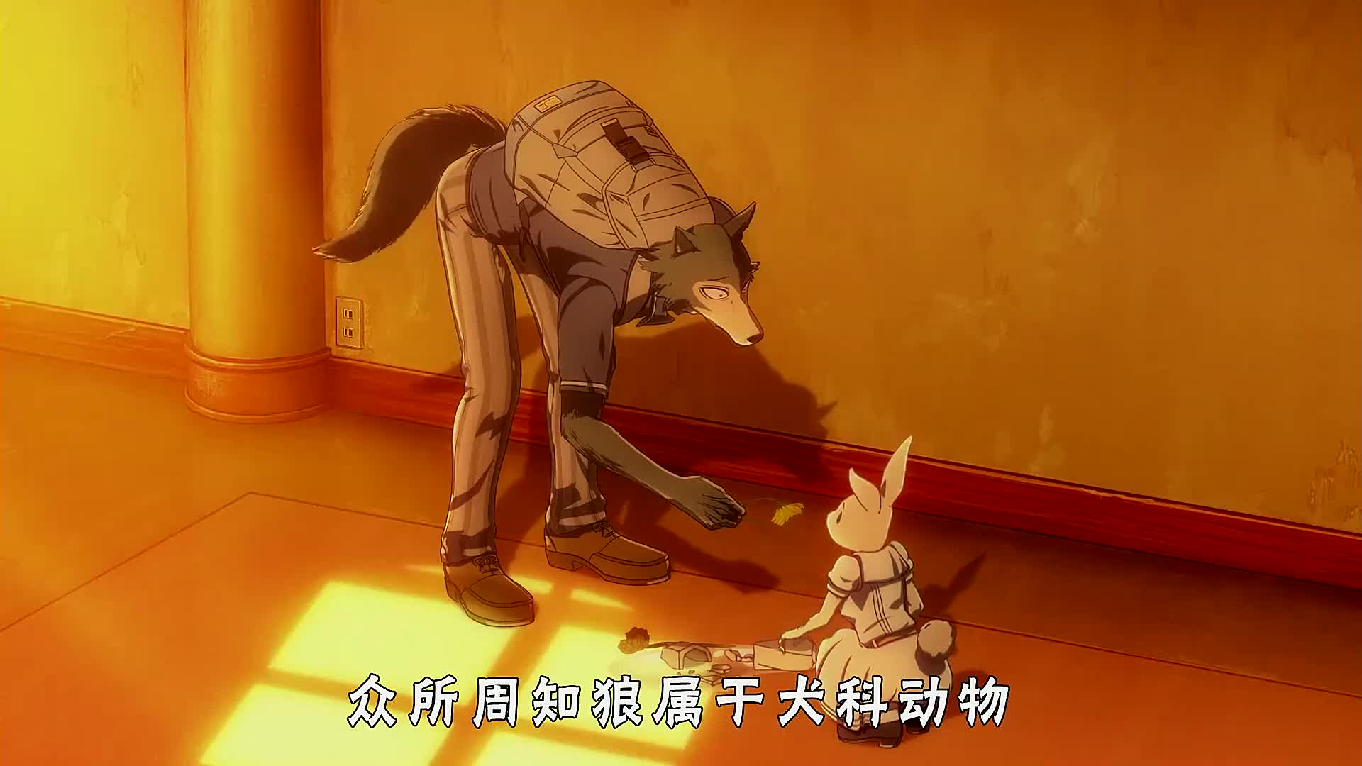 动物狂想曲:为让纯情狼认清感情,熊猫拿出多年珍藏