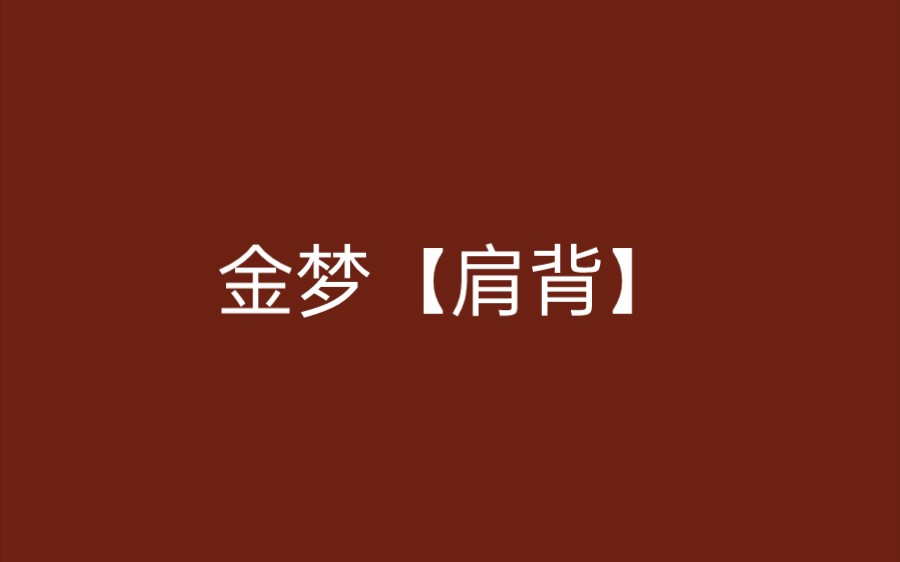 金梦【肩背】哔哩哔哩bilibili