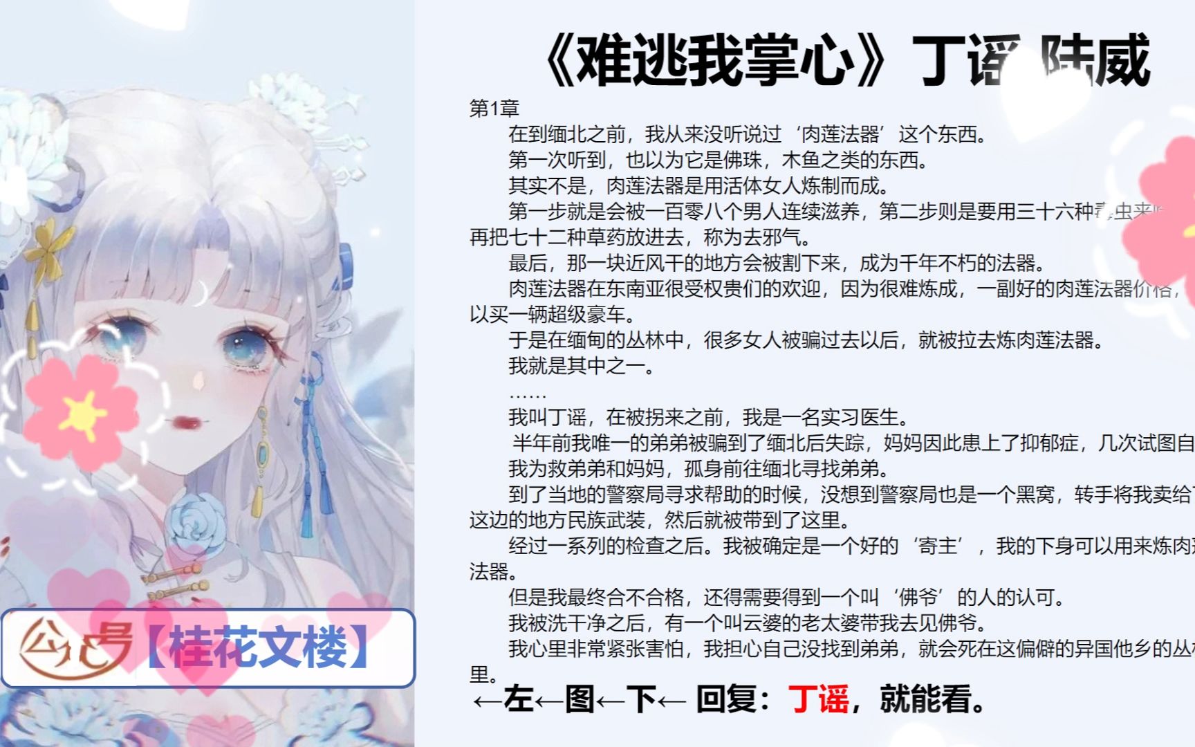 丁谣陆威——热火宝藏文推荐《丁谣陆威》哔哩哔哩bilibili