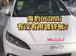 Download Video: 海豹06Dmi是不是用的镀锌钢板？