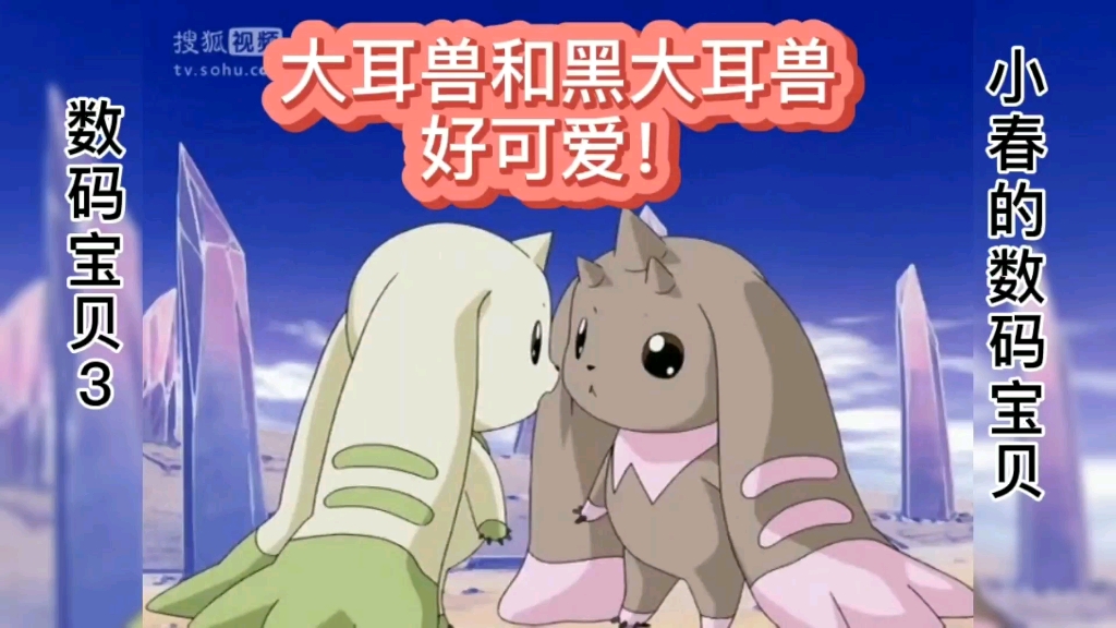 大耳兽和黑大耳兽好可爱你们觉得呢