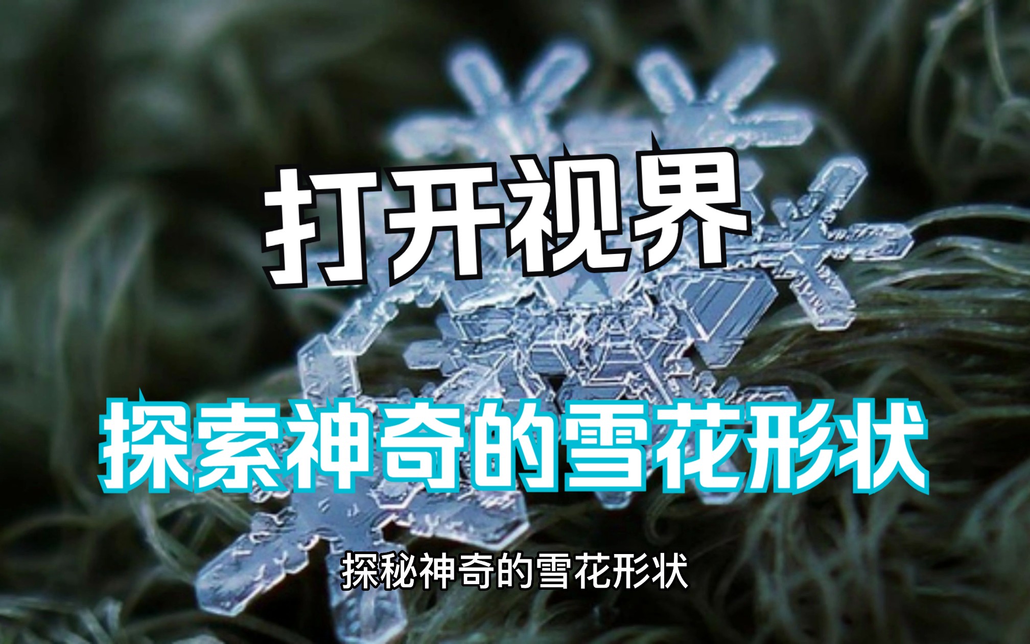 打开视界:探秘神奇的雪花形状哔哩哔哩bilibili