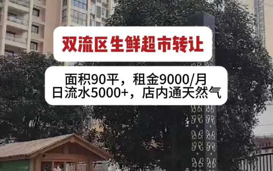 双流区生鲜超市转让哔哩哔哩bilibili