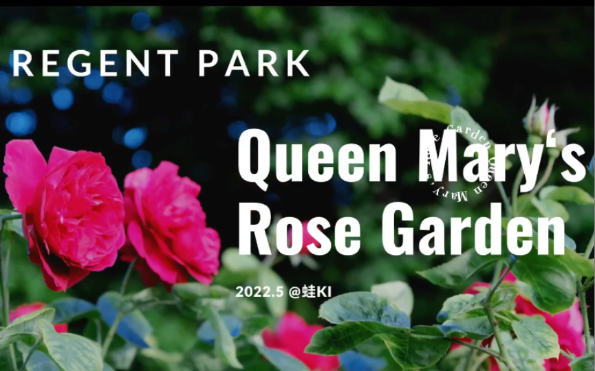 [图]【伦敦】玫瑰园 ｜摄政公园Regent Park｜Queen Mary‘s Rose Garden