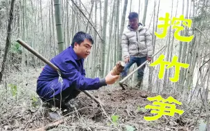 Descargar video: 跟小伙伴上山挖笋，一上山就挖了这么多，这究竟是冬笋还是春笋！