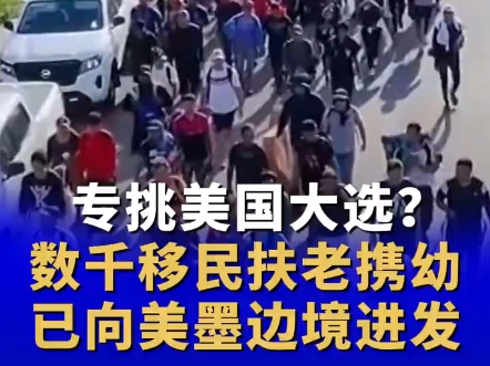 专挑美国大选?数干移民扶老携幼已向美墨边境进发哔哩哔哩bilibili