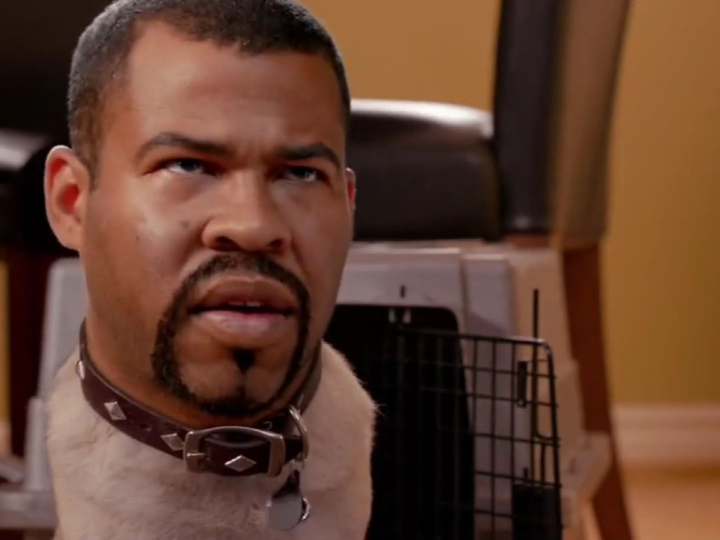 黑人兄弟:只闻狗头人,未见人头狗