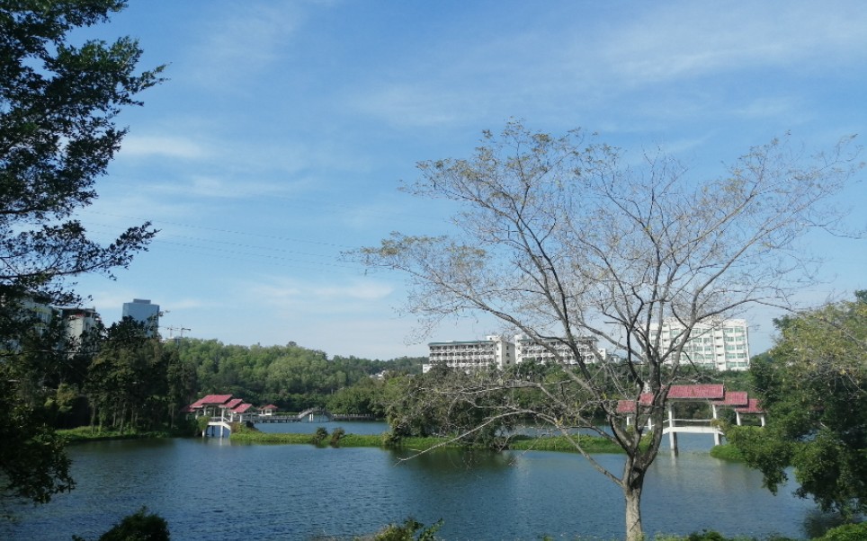 韩山师范学院东丽湖