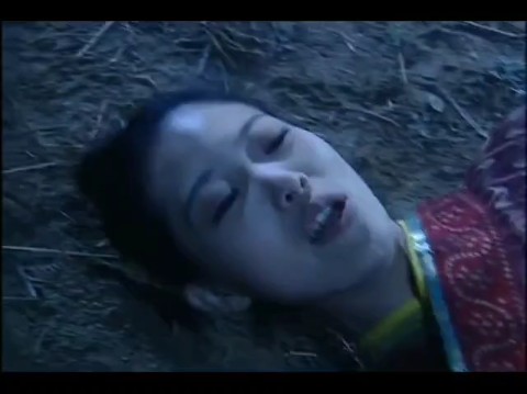 平阳公主授液恩师,被侵占玷污