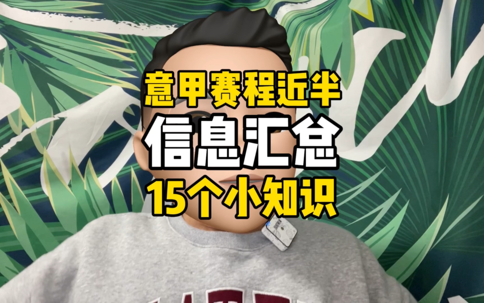 意甲赛程近半,15个小知识带您了解本赛季的意甲哔哩哔哩bilibili