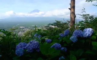 護國神社 搜索结果 哔哩哔哩 Bilibili