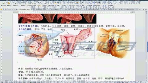 2解剖学 1骨骼肌肉 哔哩哔哩