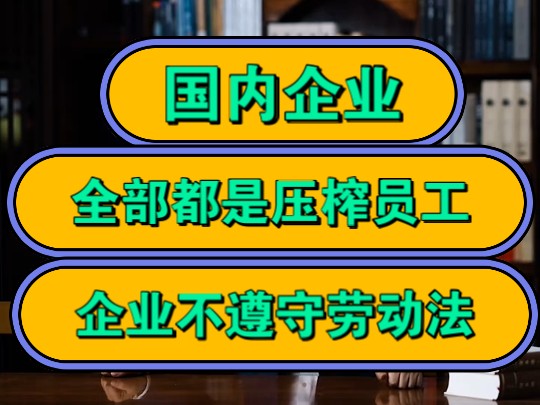 国内企业,全部都是压榨员工,企业不遵守劳动法!哔哩哔哩bilibili