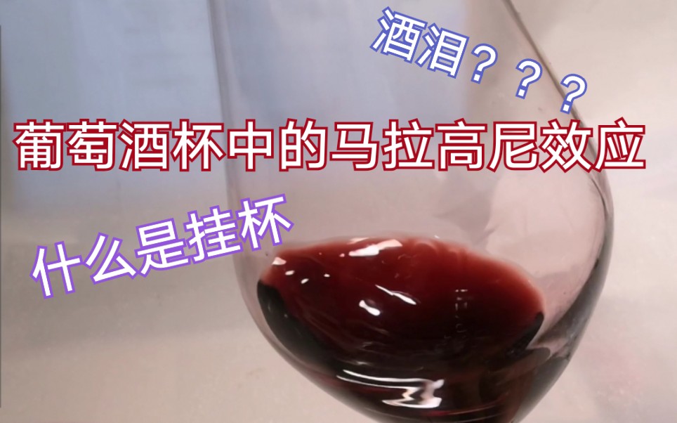 【葡萄酒知识科普】什么是马拉高尼效应?!酒鬼必备谈资:什么是挂杯?! 什么是酒泪?!一句话告诉你,挂杯是不是好酒?哔哩哔哩bilibili