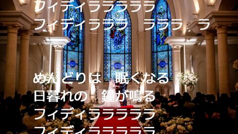 小鳥の結婚式 哔哩哔哩