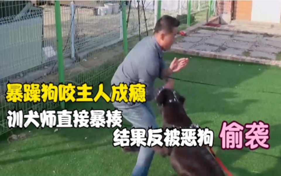 [图]暴躁狗咬主人成瘾，训犬师上来就暴揍，结果反被恶狗偷袭