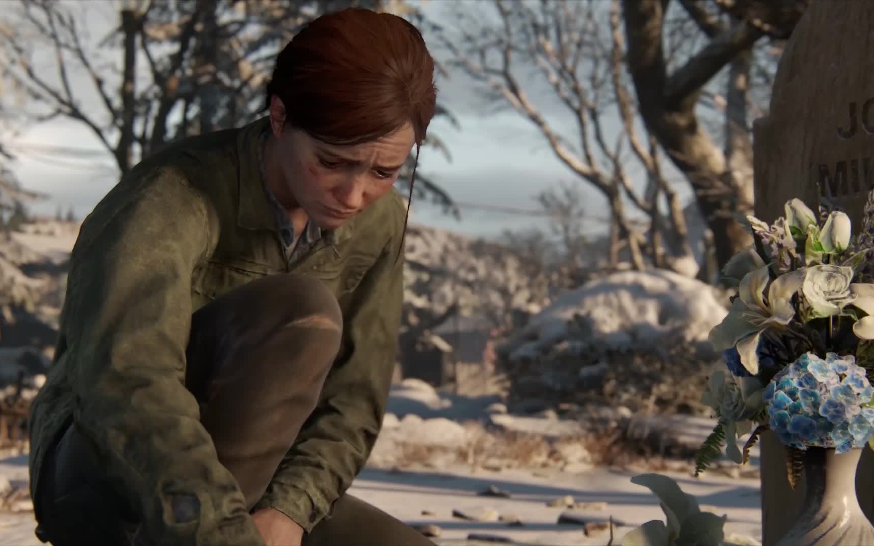 美国末日2最后生还者2tlou2