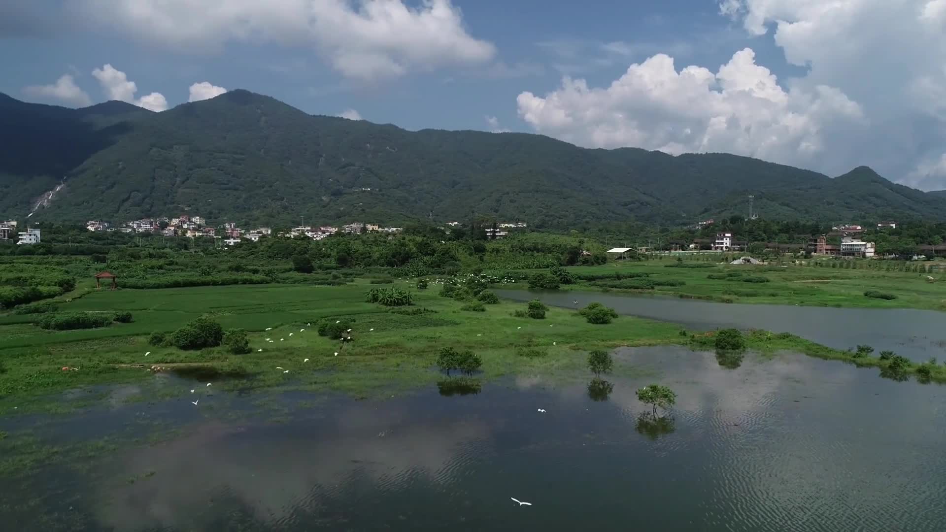 莆田市常太鎮東圳水庫風光純淨美好,鳥兒的天堂,太美了!