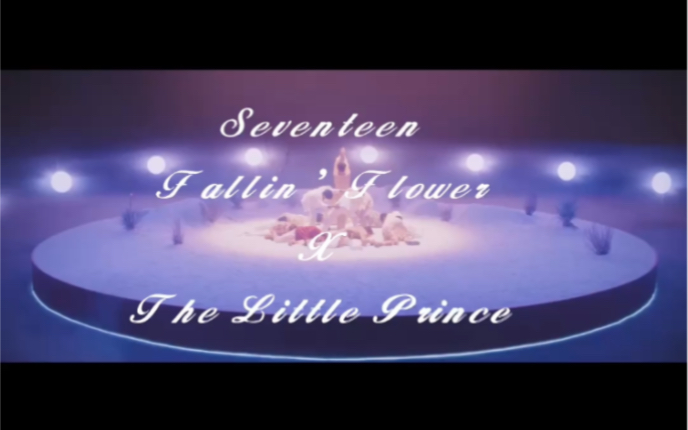 [图][SEVENTEEN][FMV][中字] SEVENTEEN’Fallin’Flower+TheLittlePrince’Ryeowook’