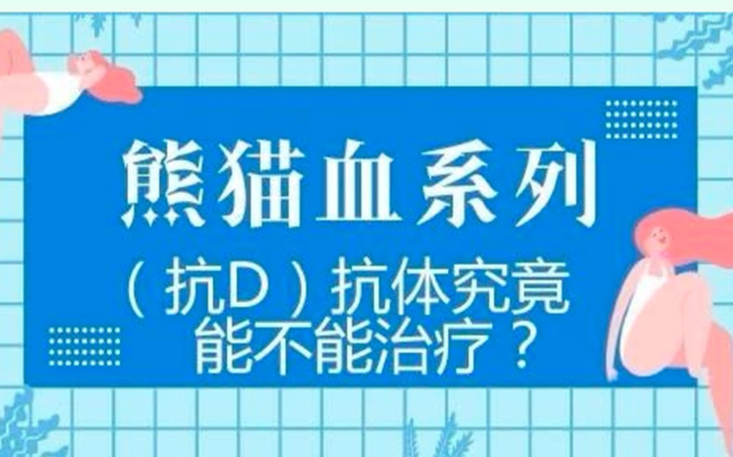 熊猫血系列之(抗D)抗体究竟能不能治疗?哔哩哔哩bilibili