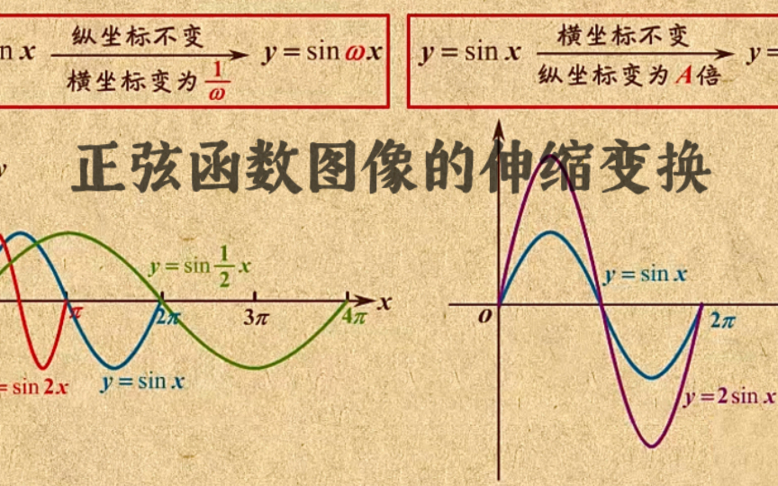 高中数学|【第五章 三角函数】17 正弦函数图像的伸缩变换哔哩哔哩bilibili