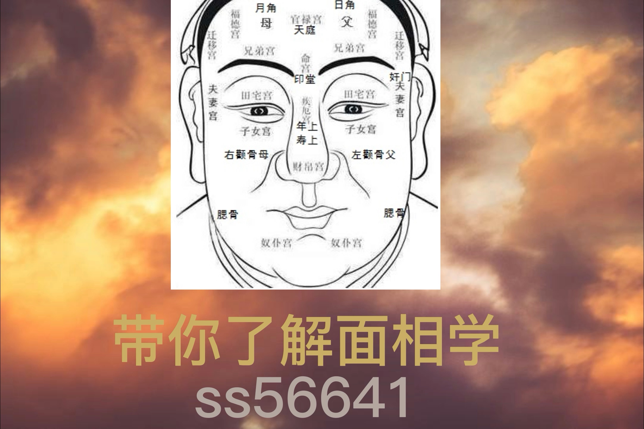 法霄道人带你了解神奇的面相学