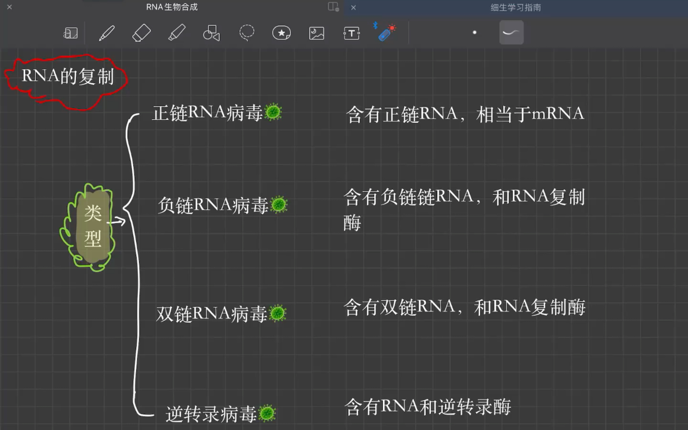 RNA复制,正链,负链,双链病毒,逆转录病毒哔哩哔哩bilibili