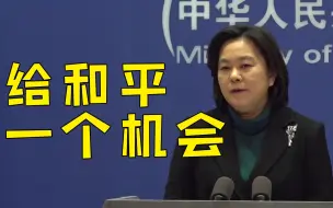 Tải video: 华春莹反问记者：有人打起来你会递武器还是劝架