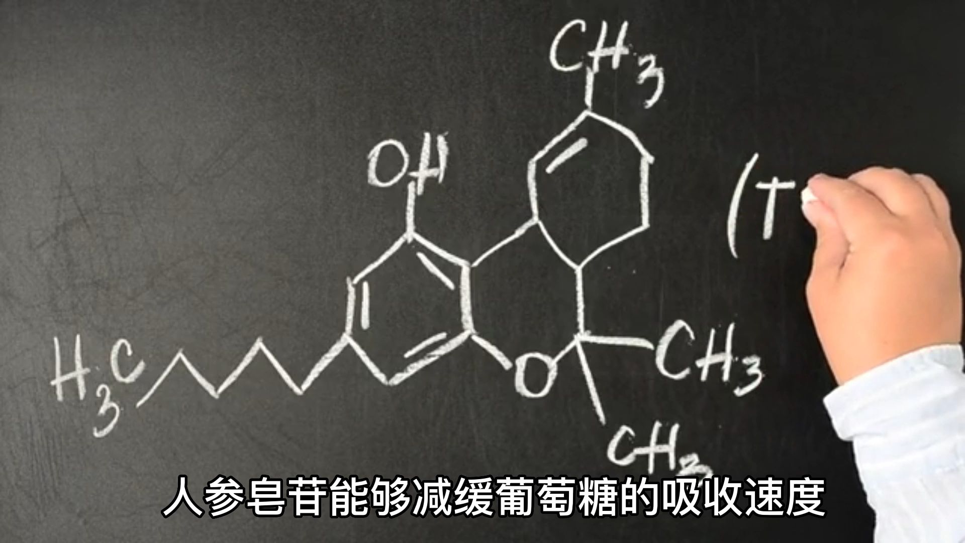 探索人参皂苷的功效与应用哔哩哔哩bilibili