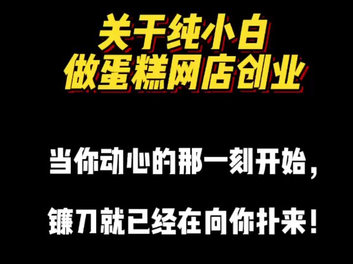 聊一聊关于纯小白做蛋糕网店创业!哔哩哔哩bilibili