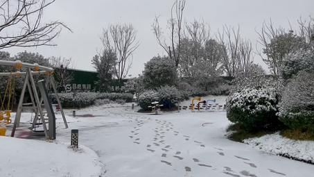 [图]小年大雪，郑州上街。