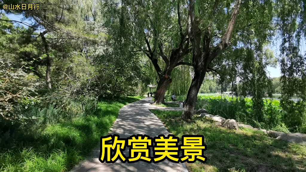 北京圆明园公园,福海景区风景优美景色宜人,处处都是美景哔哩哔哩bilibili