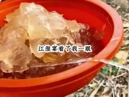 Descargar video: 言心小宠