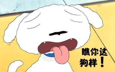 [蜡笔小新sp] 小白喝醉了哦_哔哩哔哩_bilibili
