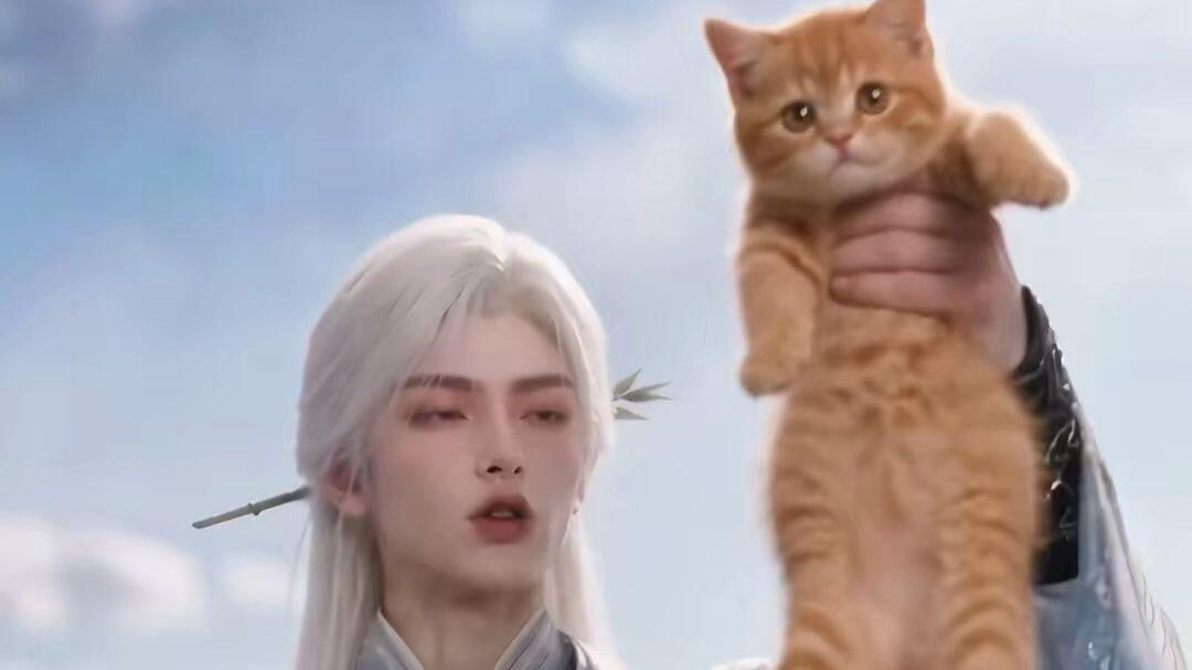 我小橘猫勇闯反派师门