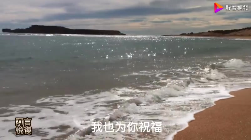 中国现代诗歌大系: 海子诗歌合集 《面朝大海 春暖花开》哔哩哔哩bilibili