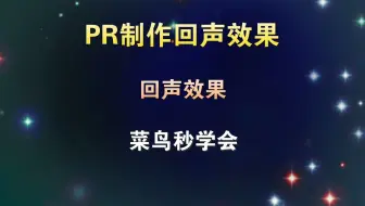 PR如何制作回声效果，声音延迟产生回音，菜鸟一分钟学会