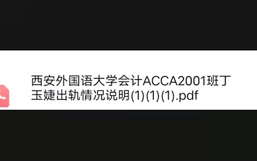 [图]西安外国语大学63页ppt，三连后私信发！*/*、。，*/