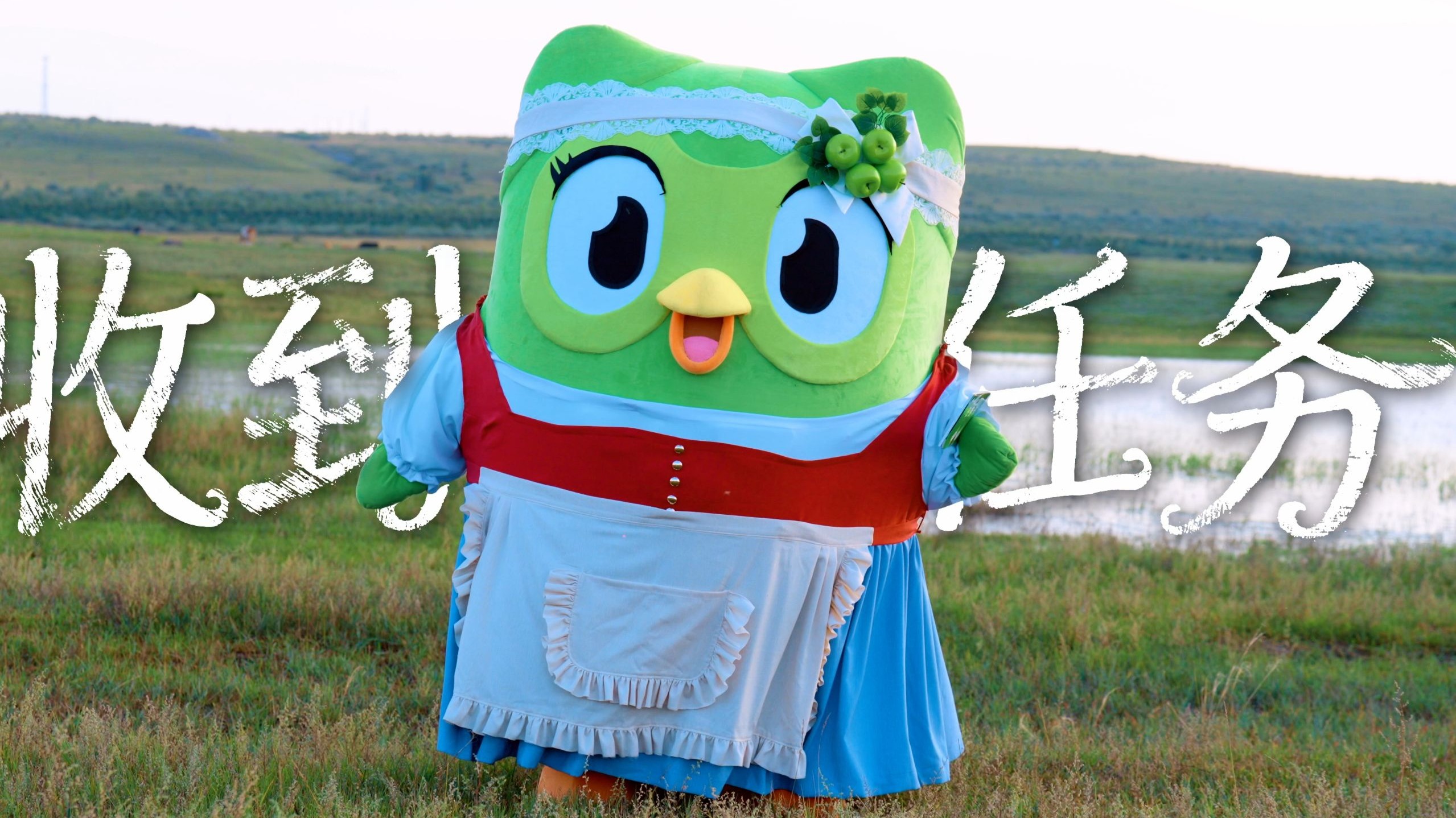 多儿与少年第一季震撼上线，我的搭档你在哪！-多邻国-Duolingo-多邻国-Duolingo-哔哩哔哩视频