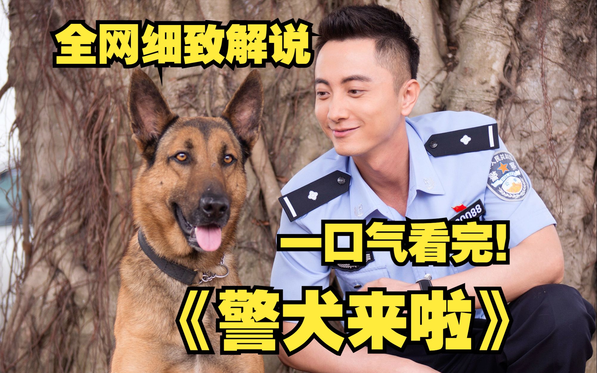 一口气看完超清警犬题材电视剧《警犬来啦》完整版,警犬出击,大毒枭落网,警犬是人民的英雄,值得我们向它致敬.哔哩哔哩bilibili