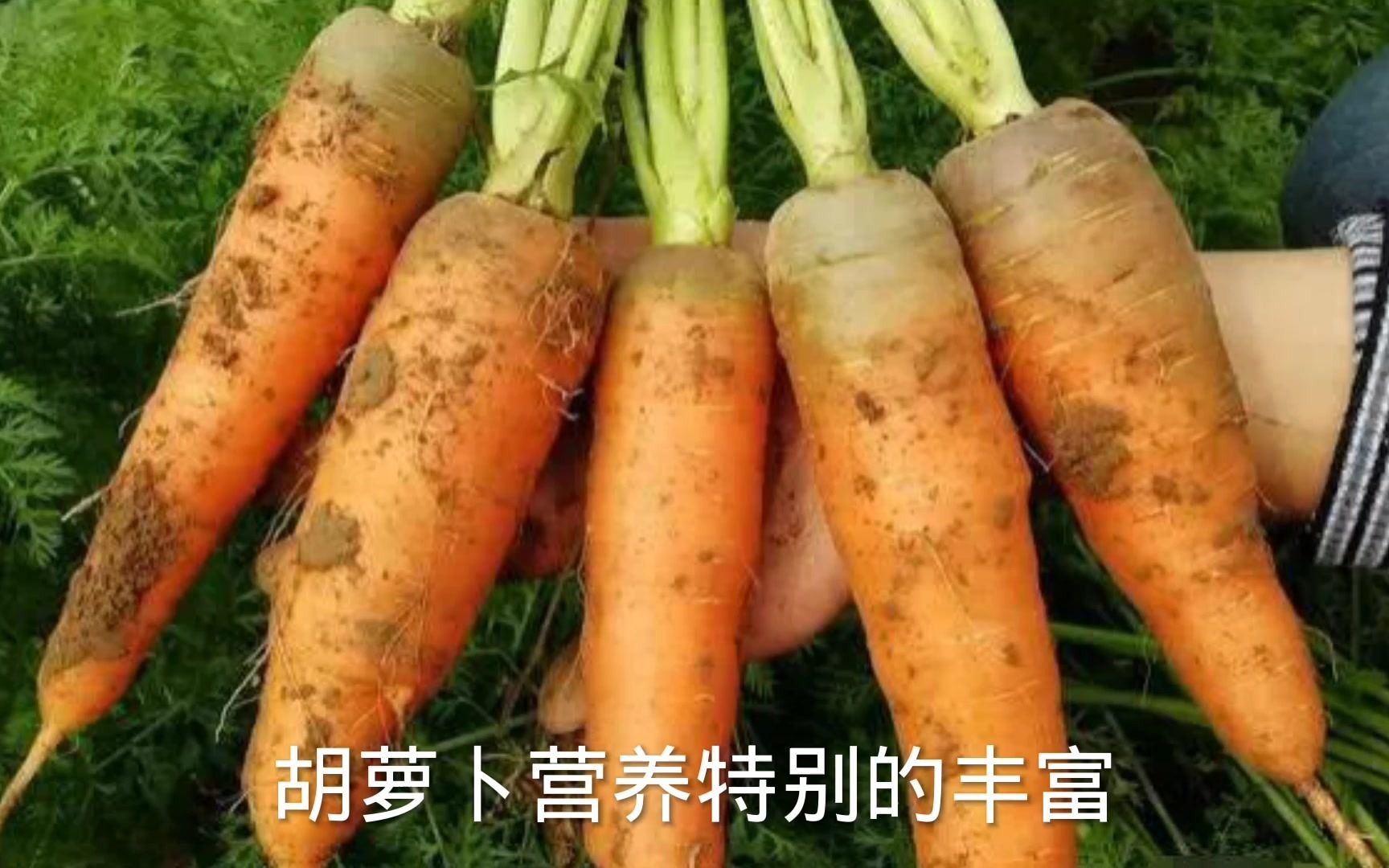 [图]该种胡萝卜了，大家知道它的最佳种植时间吗？咋种才能长大个