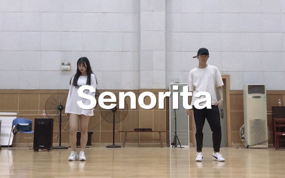 [图]【WILD】男帅女美不看后悔的磪有情练习室版本《Senorita》翻跳