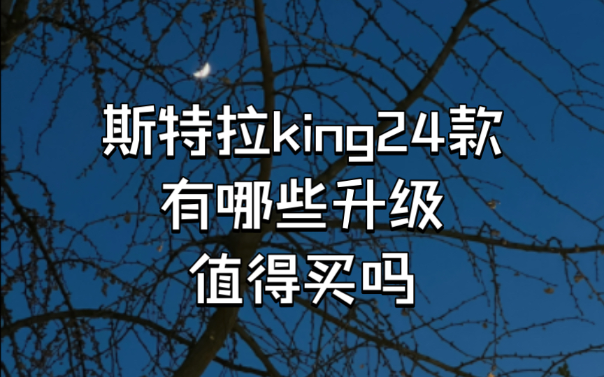 [图]斯特拉king disc升级介绍与个人购买建议