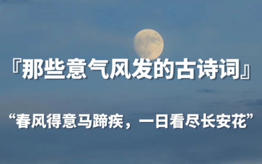 【句子控】“春风得意马蹄疾,一日看尽长安花.”那些意气风发的古诗词哔哩哔哩bilibili