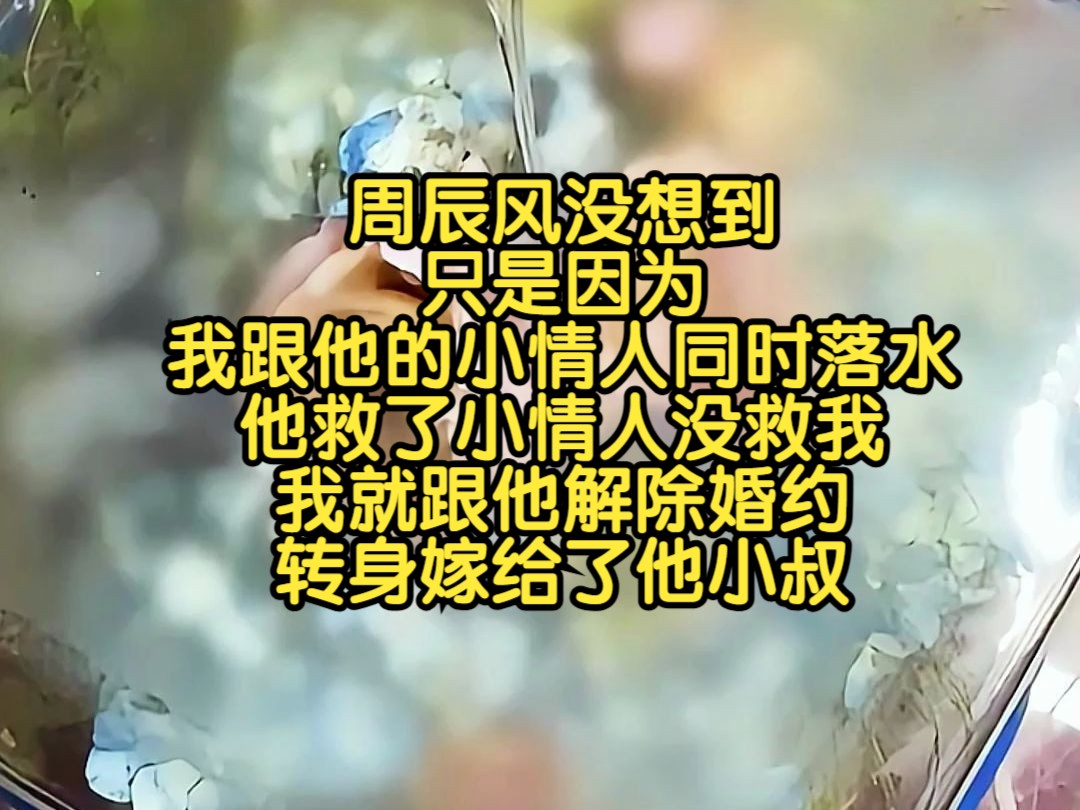 《蓄谋小叔》周辰风没想到,只是因为我跟他的小情人同时落水,他救了小情人没救我,我就跟他解除婚约,转身嫁给了他小叔.....哔哩哔哩bilibili