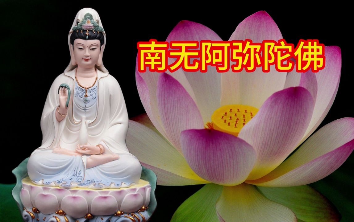 超好听佛曲每天千遍《南无阿弥陀佛》愿你千事顺心万事顺利