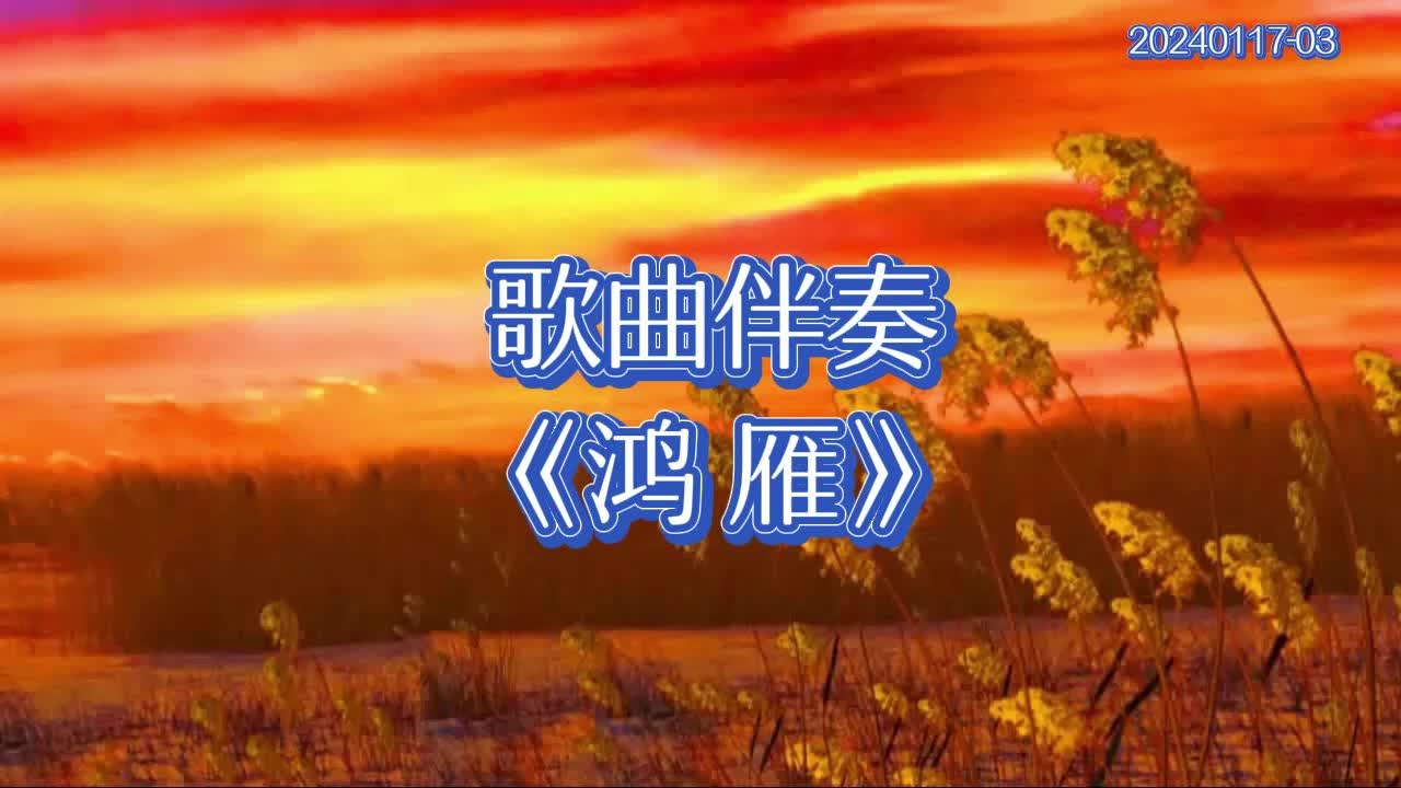 歌曲鸿雁(歌曲鸿雁于飞)