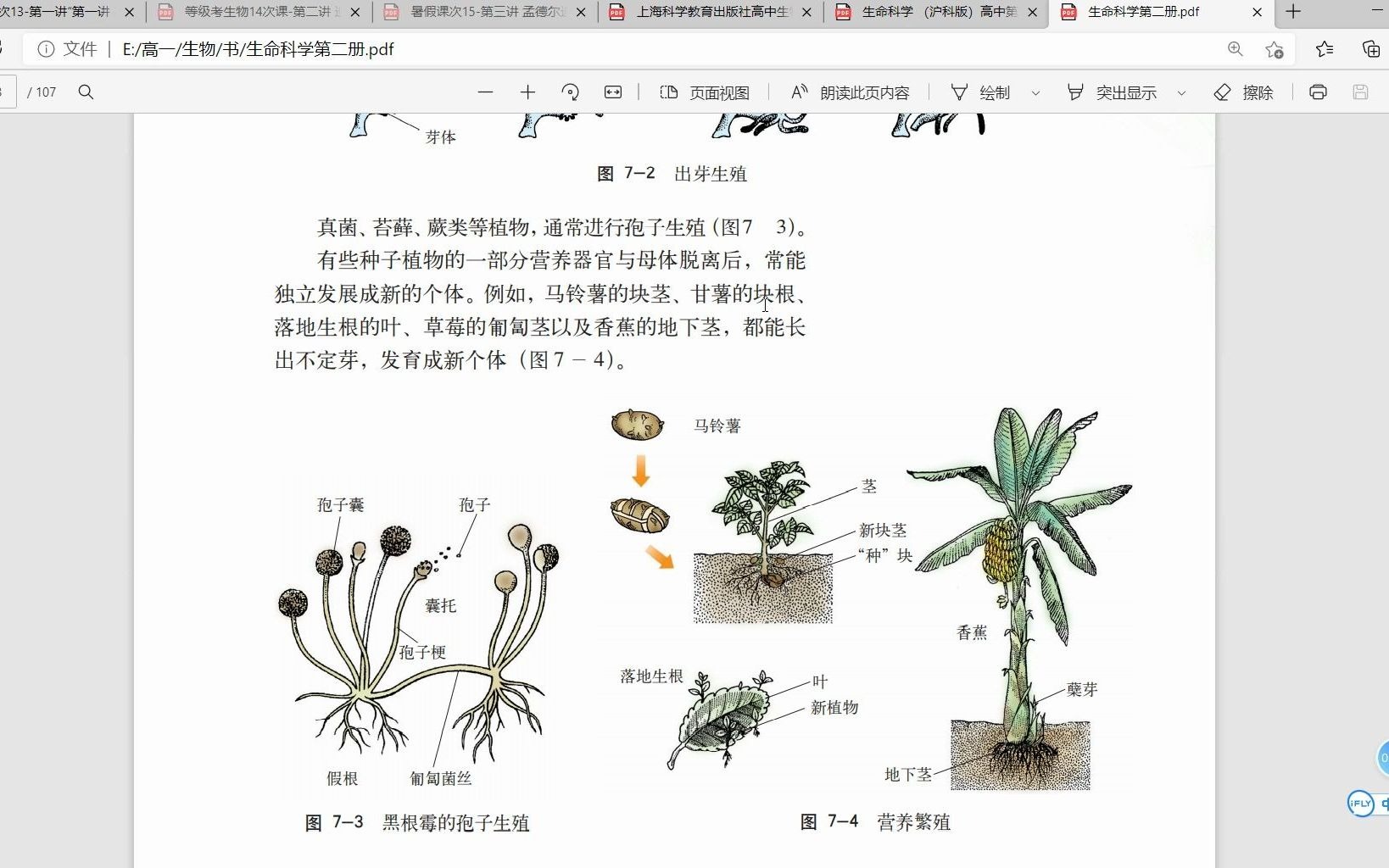 沪教版生殖,有丝分裂,减数分裂,克隆,孟德尔遗传定律知识串讲哔哩哔哩bilibili