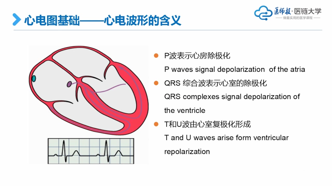 临床入门必备:住培必学课程(第一季)上哔哩哔哩bilibili