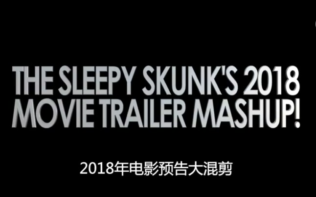 [图]【2018史诗级预告混剪(中文字幕)】油管大神Sleepy Skunk的年度巨制！